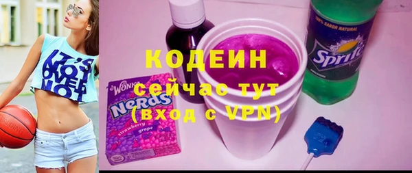 стаф Арсеньев