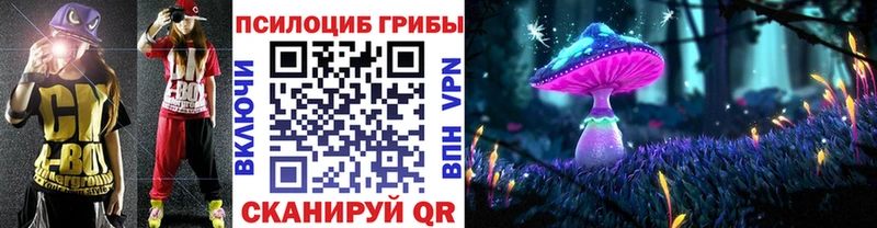 Купить где  Николаевск-на-Амуре  Псилоцибиновые грибы Psilocybine cubensis 